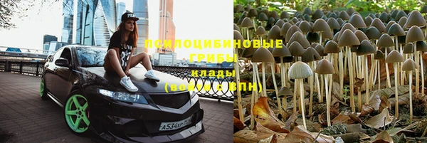 герыч Алексин